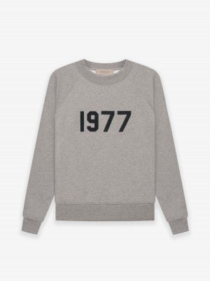 Essentials Crewneck 1977 Sweatshirt Dunkel | 9358ZTHAQ
