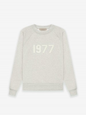 Essentials Crewneck 1977 Sweatshirt Gray | 4703NZQUA
